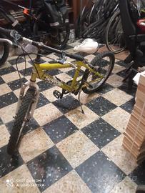 bicicletta 