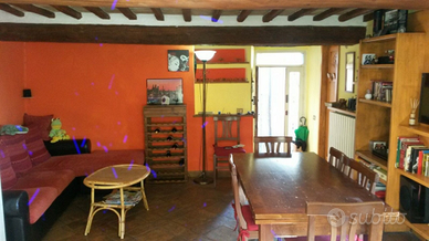 Grazioso appartamento