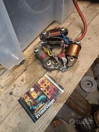 statore usato vespa piaggio 125 primavera