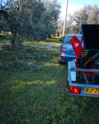 BIOTRITURATORE HONDA CECCATO 