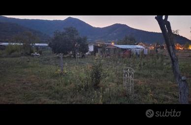 terreno agricolo 