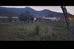 terreno agricolo 