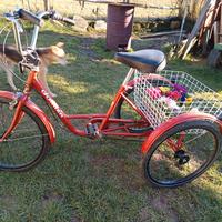 bici 3 ruote 