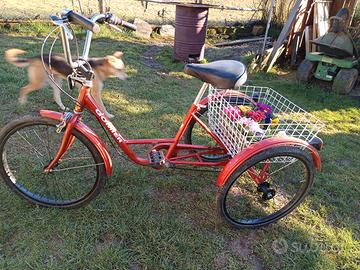 bici 3 ruote 