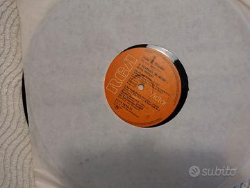 Vinile