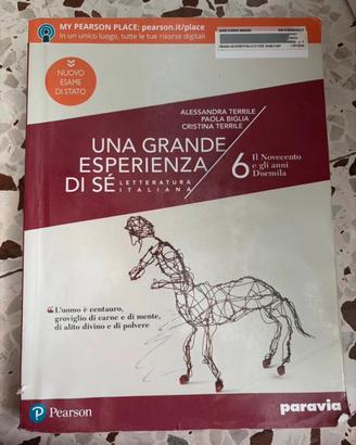 Una grande esperienza di sé 6