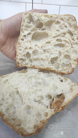 Panettiere rosticceria dolciumi