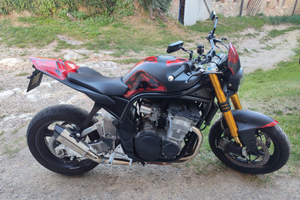 Special Suzuki Bandit 600