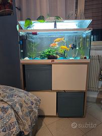 Acquario COMPLETO