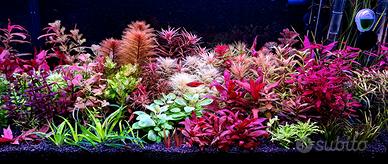 potature piante rare e facili