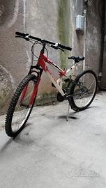 Bicicletta Montain Bike