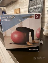 Firball taglia2 decathlon + pompetta