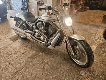 Harley Davidson  V-Rod modello VRSCA del 2006