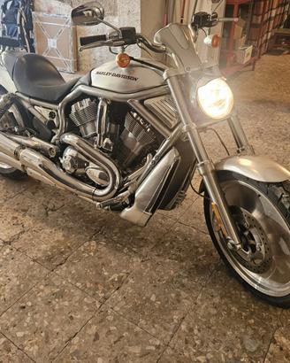 Harley Davidson  V-Rod modello VRSCA del 2006