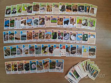 Card Figurine "Avventure Nella Notte" Coop/Legambi