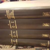 Dizionario della Lingua Italiana F.Motta Editore