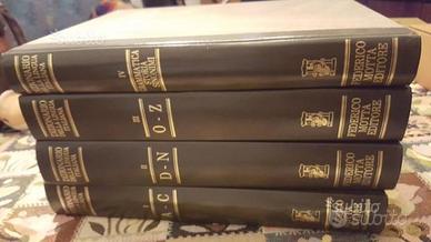 Dizionario della Lingua Italiana F.Motta Editore