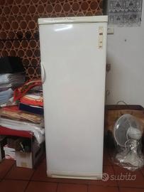 Freezer verticale Electrolux "come nuovo"