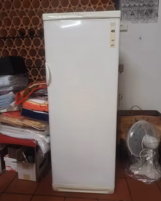 Freezer verticale Electrolux "come nuovo"