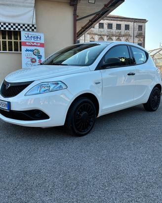 Lancia Ypsilon 1.2 69 CV Elefantino Blu 5 POSTI