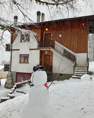 Appartamento tra le Dolomiti del Cadore