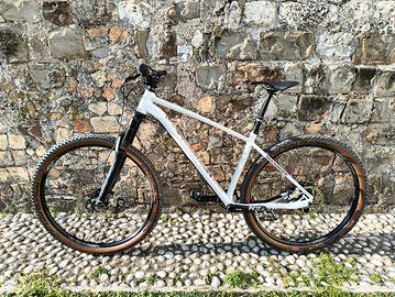 mtb bici Rockrider am100 ht