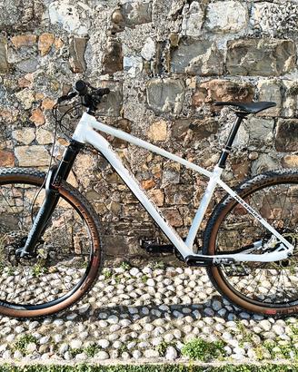 mtb bici Rockrider am100 ht