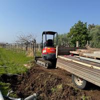 pali per tendone kiwi