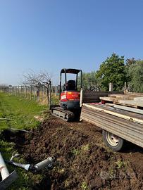 pali per tendone kiwi