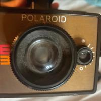 Polaroid