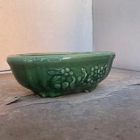 Vaso bonsai verde