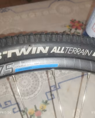 ruota bicicletta 