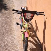 Bicicletta