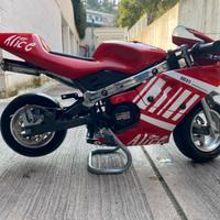 Minimoto Ducati