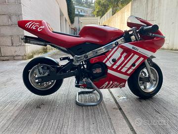 Minimoto Ducati