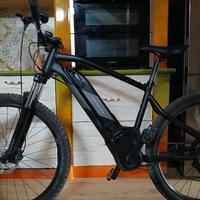 bicicletta elettrica
