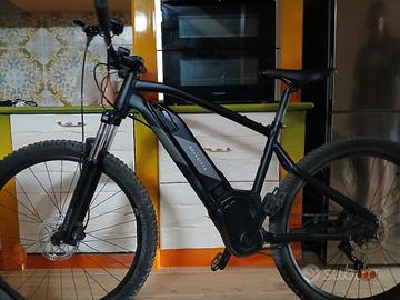 bicicletta elettrica