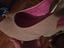 Immagine 5