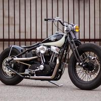 coppia di pneumatici per Sportster sino al 2003