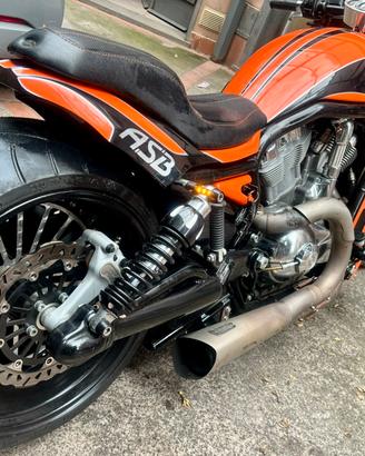 Harley special da espozizione modifiche a libretto