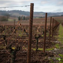 Paline per viti in acciaio