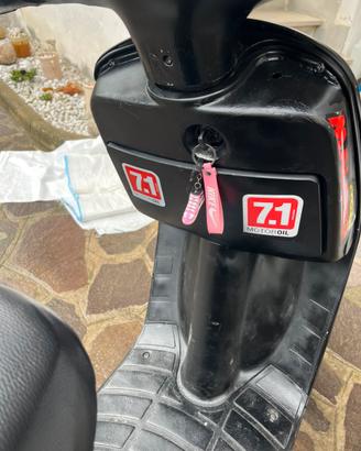 zip fast rider