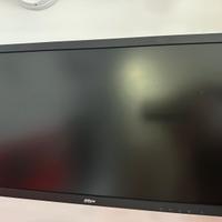 Monitor dahua