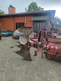 Aratro quaddrivomere vogelnoot