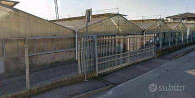 Immobile in asta di 1370 m² con 1 locale a Treviol