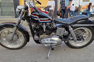 Harley davidson iron head 1000