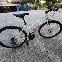 bici cross da ragazzo ruote 26