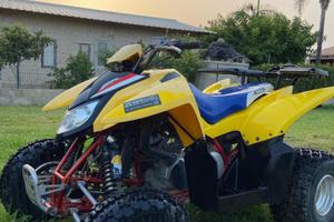 Altro Altro modello - 2009