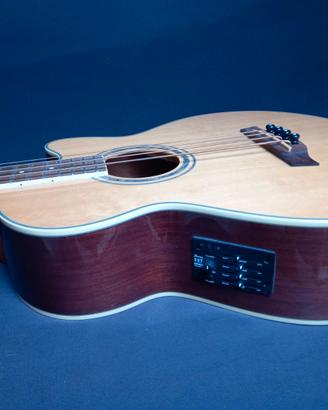 Basso Acustico Ibanez