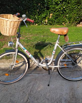 Bicicletta pieghevole  con ruote da 24 pollici 